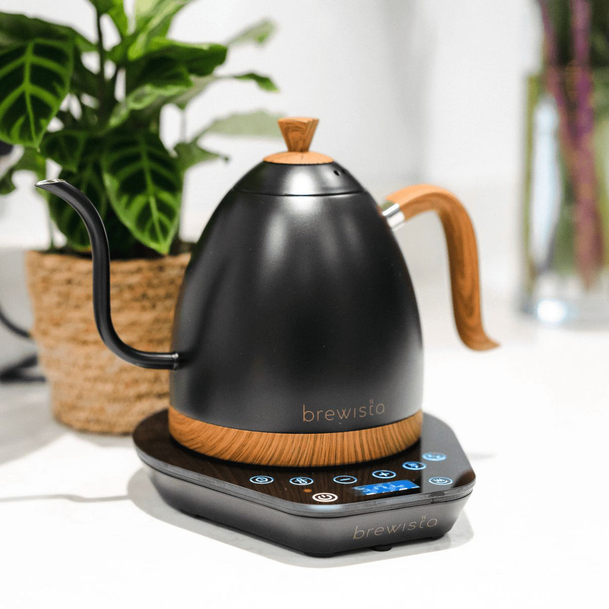 Brewista Artisan Variable Temperature Gooseneck Kettle