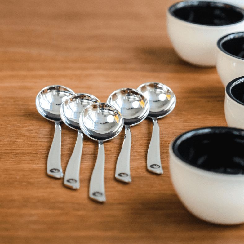 Rhino Coffee Gear Stainless Steel Coffee Cupping Spoons – Pack of 6