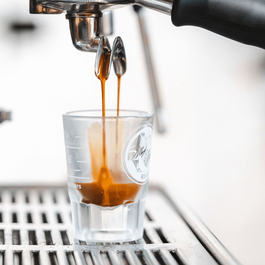 Rhino Round Shot Glass 2oz Lined