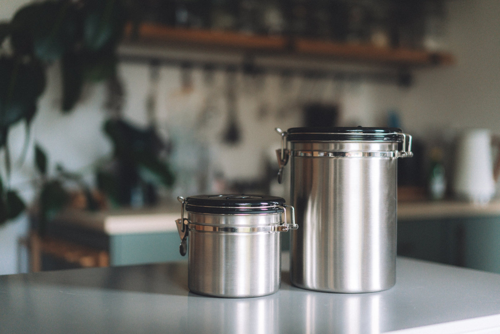 Coffee Hit New Product: Bean Storage