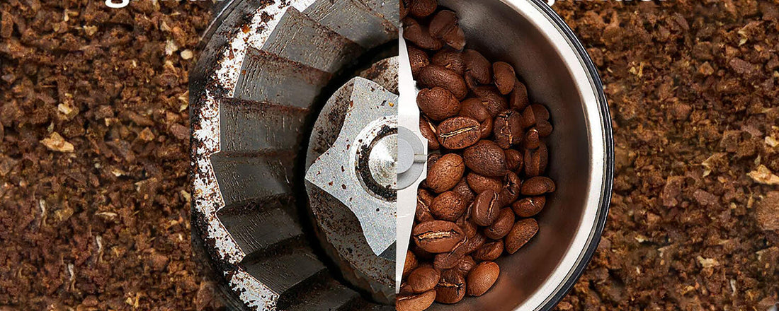 Blade vs Burr Grinder: Why It Matters More Than You Think