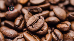 Coffee Beans 101: The 4 Most Popular Beans Explained