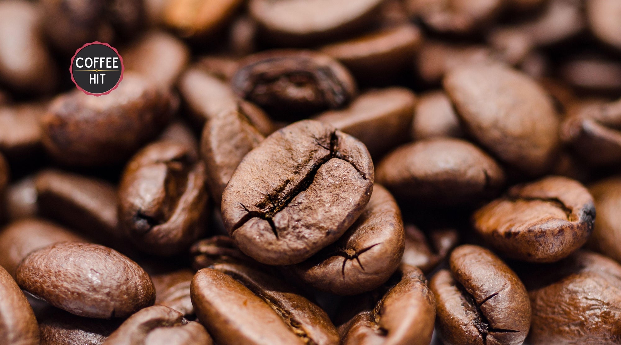 Coffee Beans 101: The 4 Most Popular Beans Explained - Coffee Hit