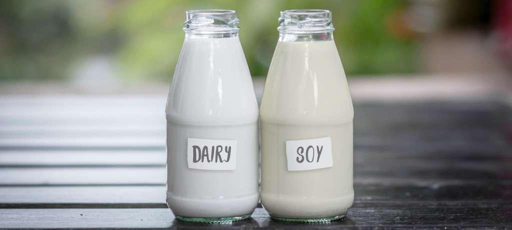 Dairy and Non-Dairy, the Risks - Coffee Hit