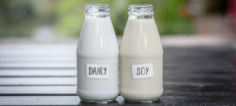 Dairy and Non-Dairy, the Risks - Coffee Hit