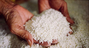 How to clean your coffee grinder with rice