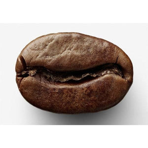 The Life Story of the Coffee Bean