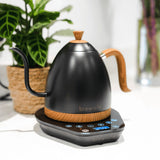 Brewista Artisan Variable Temperature Gooseneck Kettle