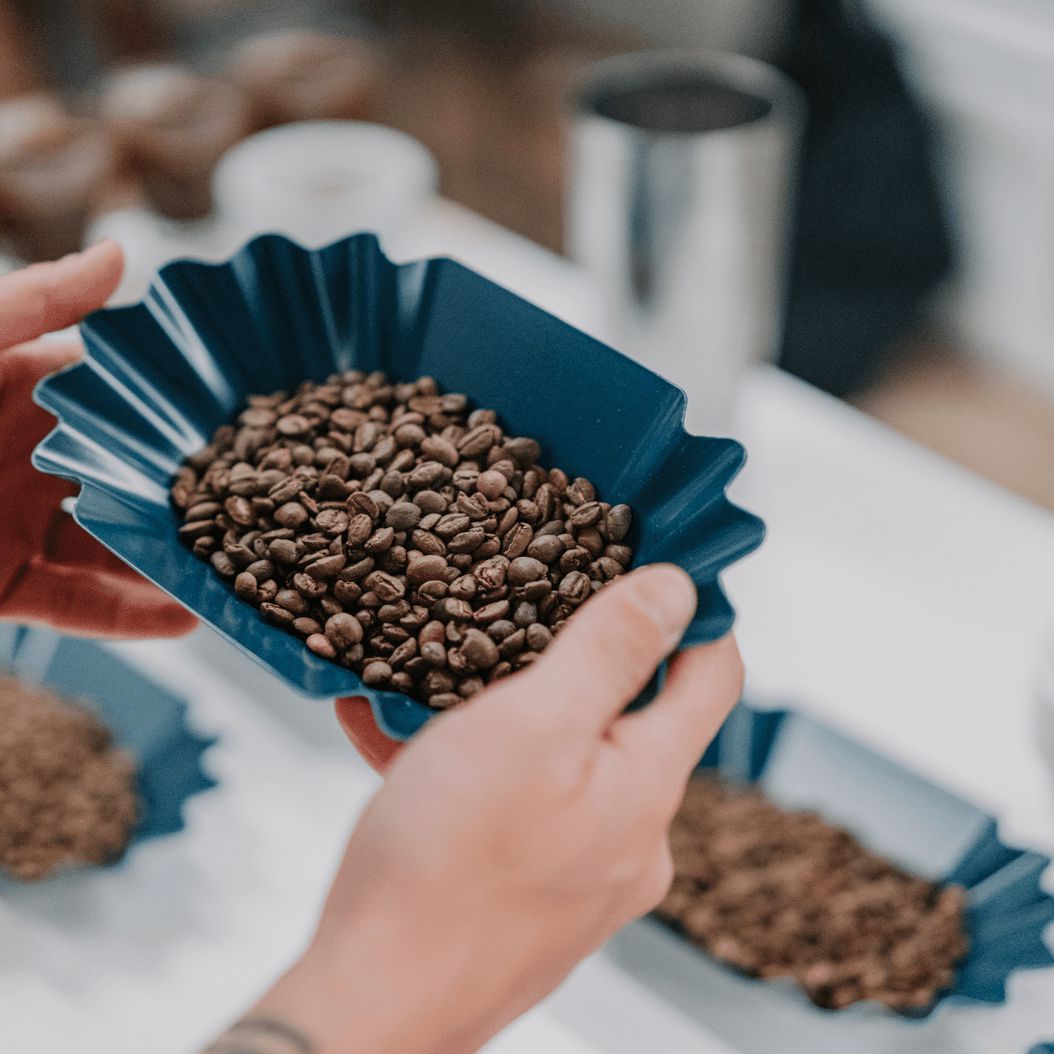 Coffee Cupping Tray - Rhino Blue Sample Trays, Essential for Roasters - Rhino Coffee Gear - Coffee Hit