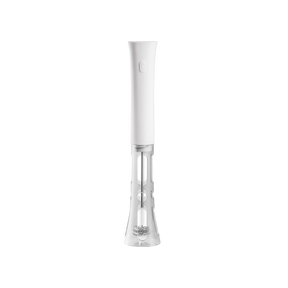 Electric Milk Frother