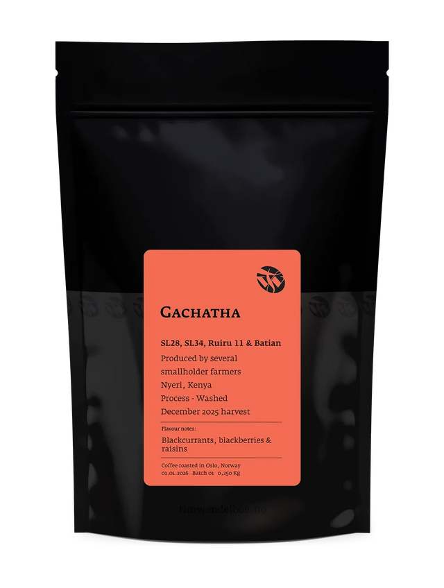 Kenya Gachatha — Tim Wendelboe