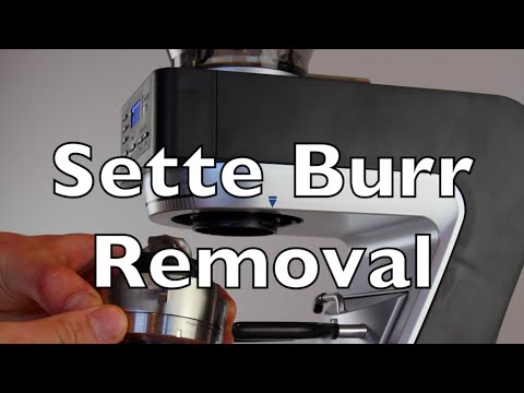 Baratza Sette Adjustment Assembly